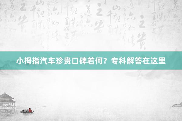 小拇指汽车珍贵口碑若何？专科解答在这里